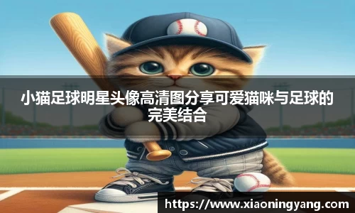 小猫足球明星头像高清图分享可爱猫咪与足球的完美结合