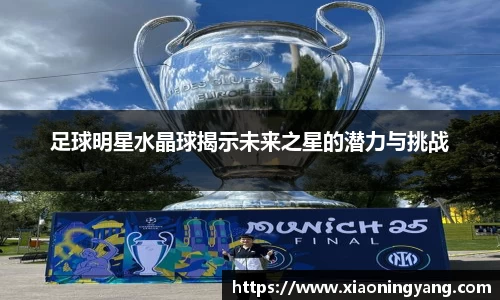 足球明星水晶球揭示未来之星的潜力与挑战